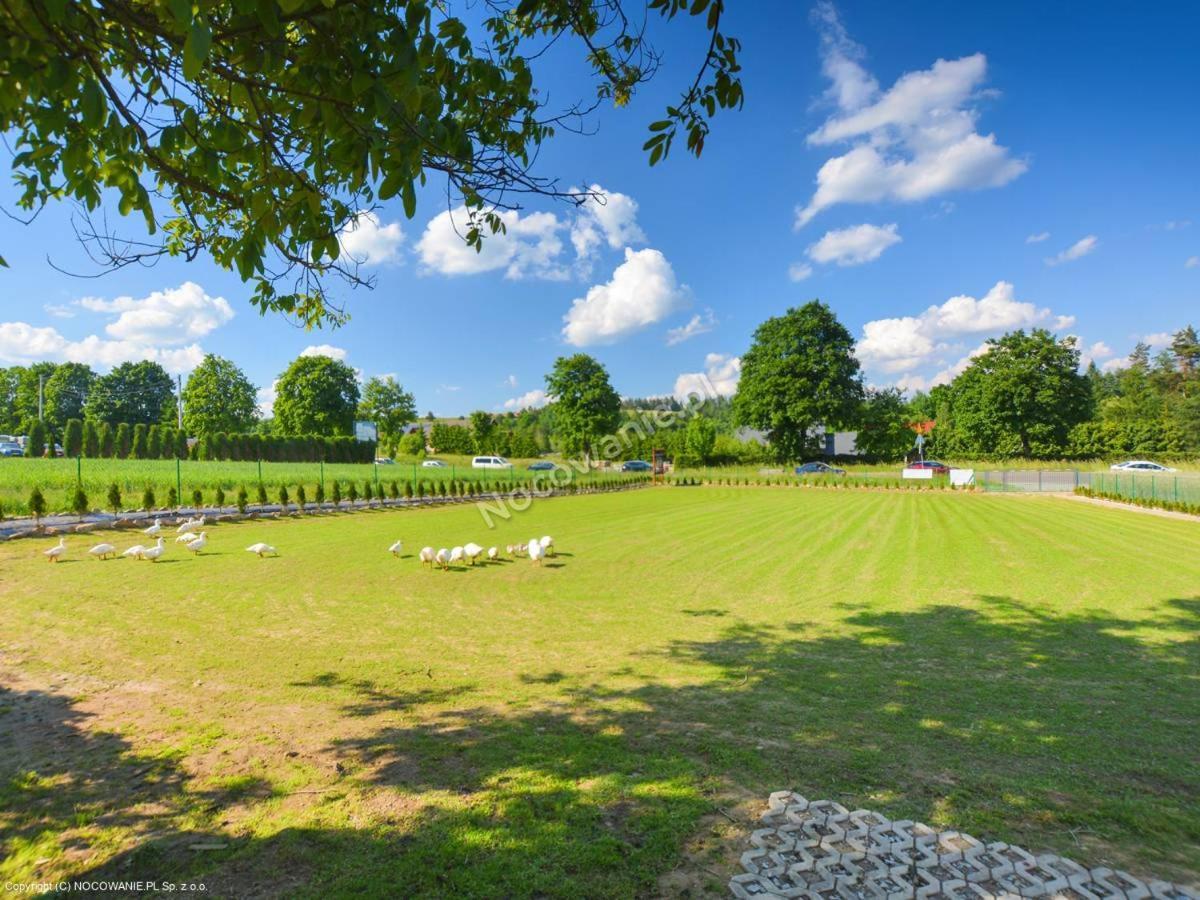 Bieszczadzki Krakowiak 575-894-584 Lub 535-595-732 Villa Polańczyk Exteriör bild